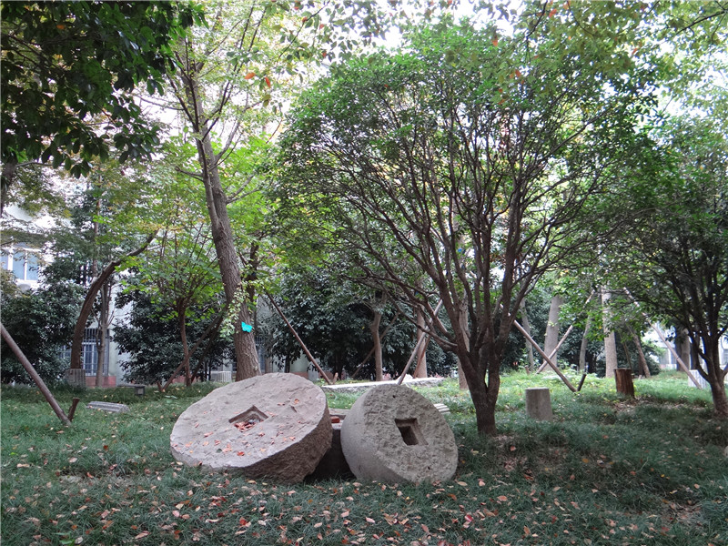 DSC04718_副本.jpg